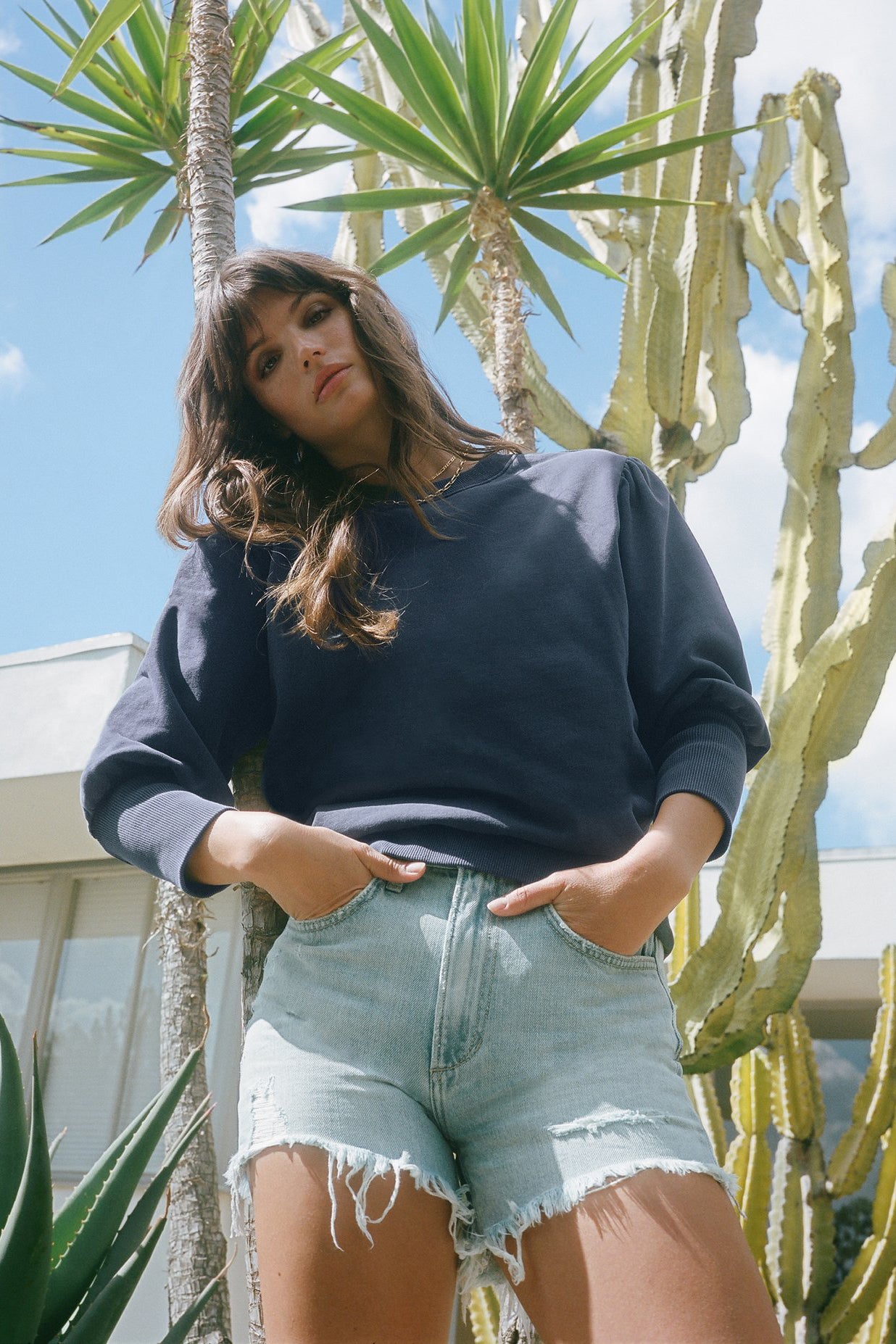 Sadie High Rise Shorts